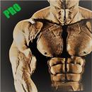 Bodybuilding Coach Pro aplikacja