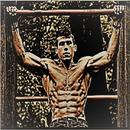 calisthenics workout - beginners guide APK