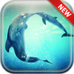 Dolphin Wallpapers