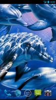 Dolphin Wallpapers imagem de tela 3