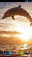 Dolphin Wallpapers imagem de tela 1