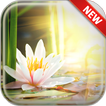 Lotus Wallpapers