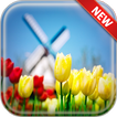 Tulip Wallpapers