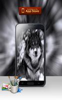 Wolf Wallpapers Cartaz