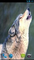 Wolf Wallpapers imagem de tela 1