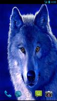 Wolf Wallpapers imagem de tela 2
