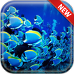 Underwater Wallpapers
