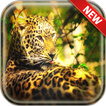 Leopard Wallpapers