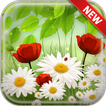 Spring Flowers Wallpapers