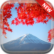Autumn Leaves Wallpapers