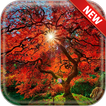 Autumn Trees Wallpapers