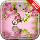 Beautiful Spring Wallpapers APK