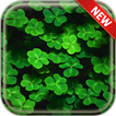 Shamrock Wallpapers