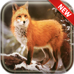 Fox Wallpapers