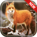 Fox Wallpapers APK