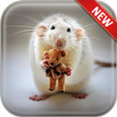 Mouse Wallpapers APK