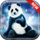 APK Panda Wallpapers