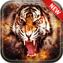 Tiger Wallpapers APK