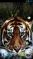 برنامه‌نما Tiger Wallpapers عکس از صفحه