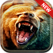 Bear Wallpapers