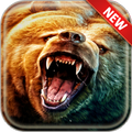 Bear Wallpapers