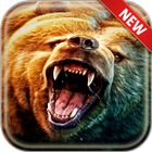 Bear Wallpapers ícone
