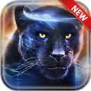 Wallpapers for Dark Panther APK