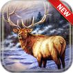 Deer Wallpapers