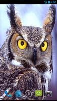 Owl Wallpapers imagem de tela 2