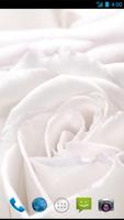 White Wallpapers imagem de tela 2