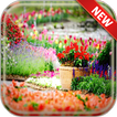 Garden Wallpapers