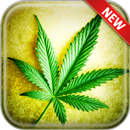 Weed Wallpapers APK