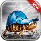 Turtle Wallpapers आइकन