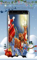 Christmas Reindeer Wallpapers Affiche