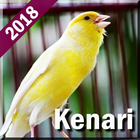 Kicau Burung Kenari Offline biểu tượng