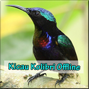 Kicau Kolibri Offline Lengkap APK