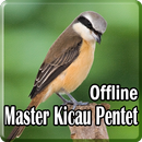 Kicau Burung Pentet Lengkap APK