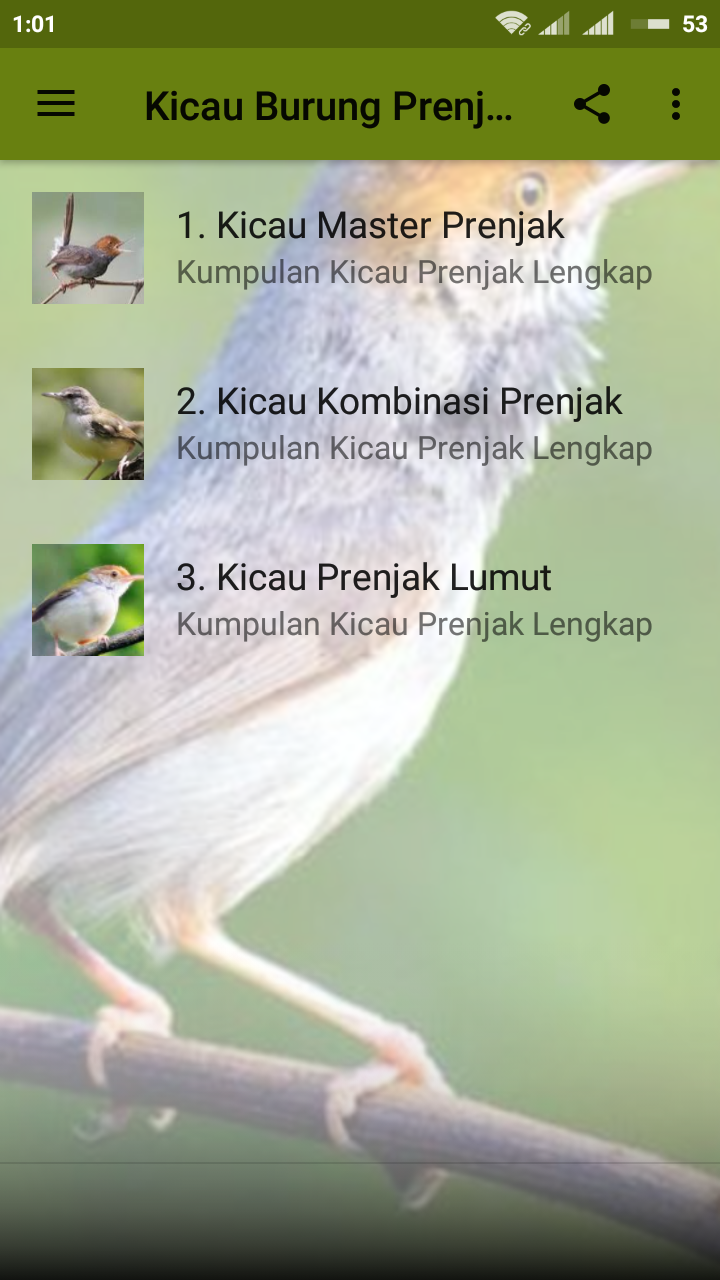 Kicau Burung Prenjak Offline Mp3 APK 1.6 for Android – Download Kicau  Burung Prenjak Offline Mp3 APK Latest Version from APKFab.com