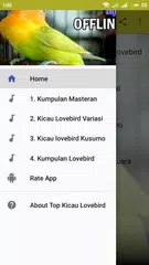 Kicau Lovebird Offline Mp3 APK download