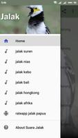 Kumpulan Kicau Burung Jalak Lengkap screenshot 3
