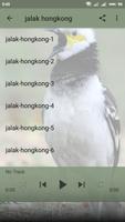 Kumpulan Kicau Burung Jalak Lengkap poster