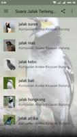 Kumpulan Kicau Burung Jalak Lengkap capture d'écran 1