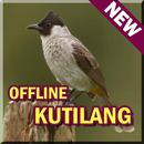 Suara Burung Kutilang Offline MP3 APK