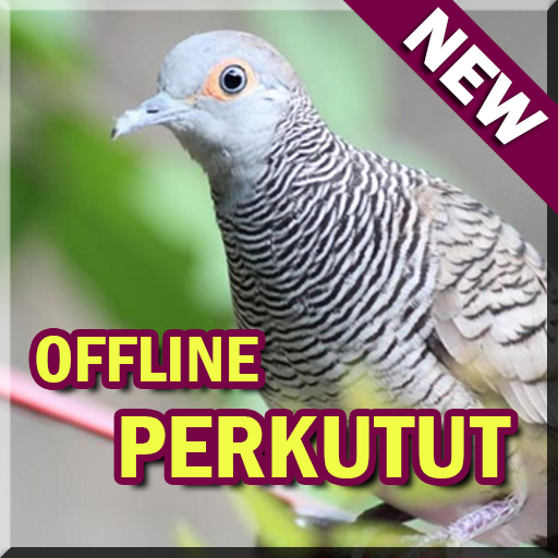 Suara Burung Perkutut Lengkap