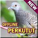 Suara Burung Perkutut Lengkap APK