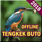 Kicau Burung Tengkek Buto Offline MP3 icône