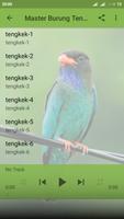 Kicau Burung Tengkek Buto Offline MP3 اسکرین شاٹ 2