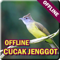 Kicau Burung Cucak Jenggot Offline MP3