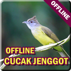Kicau Burung Cucak Jenggot ícone