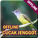 Kicau Burung Cucak Jenggot Offline MP3 APK
